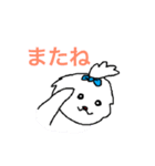 日々マルチーズ（個別スタンプ：23）