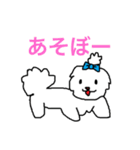 日々マルチーズ（個別スタンプ：27）