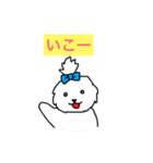 日々マルチーズ（個別スタンプ：30）