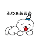 日々マルチーズ（個別スタンプ：31）