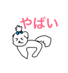 日々マルチーズ（個別スタンプ：36）
