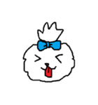 日々マルチーズ（個別スタンプ：37）