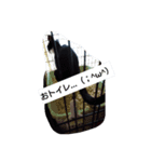 ハチワレ猫 -リリ-（個別スタンプ：13）