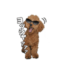 こぶた＆おーじ(スタンダード)（個別スタンプ：8）