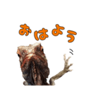 ドラさん 日常編2（個別スタンプ：5）
