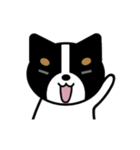 まいにちワンだふる（個別スタンプ：1）
