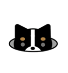 まいにちワンだふる（個別スタンプ：3）