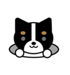 まいにちワンだふる（個別スタンプ：4）