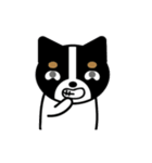 まいにちワンだふる（個別スタンプ：9）