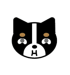 まいにちワンだふる（個別スタンプ：10）