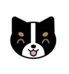 まいにちワンだふる（個別スタンプ：11）