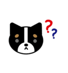 まいにちワンだふる（個別スタンプ：16）