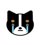 まいにちワンだふる（個別スタンプ：17）