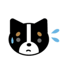 まいにちワンだふる（個別スタンプ：29）