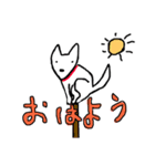 僕の犬はポンタです（個別スタンプ：3）