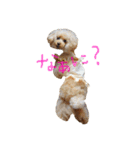 かれんかのんかりん（個別スタンプ：1）
