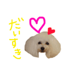 かれんかのんかりん（個別スタンプ：3）