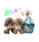 かれんかのんかりん（個別スタンプ：4）
