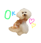 かれんかのんかりん（個別スタンプ：5）