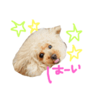 かれんかのんかりん（個別スタンプ：6）