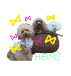 かれんかのんかりん（個別スタンプ：7）