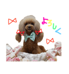 かれんかのんかりん（個別スタンプ：8）