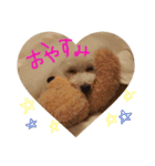 かれんかのんかりん（個別スタンプ：9）