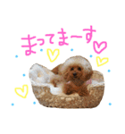 かれんかのんかりん（個別スタンプ：10）