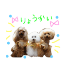 かれんかのんかりん（個別スタンプ：11）