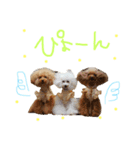 かれんかのんかりん（個別スタンプ：12）