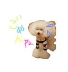 かれんかのんかりん（個別スタンプ：13）