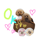 かれんかのんかりん（個別スタンプ：15）