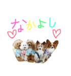 かれんかのんかりん（個別スタンプ：16）