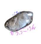 うさぎのかわいいスタンプ（個別スタンプ：3）