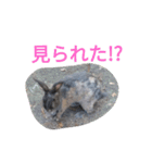うさぎのかわいいスタンプ（個別スタンプ：20）