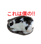 うさぎのかわいいスタンプ（個別スタンプ：28）