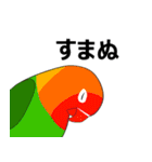 まるインコ（個別スタンプ：2）