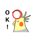 まるインコ（個別スタンプ：3）