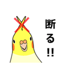 まるインコ（個別スタンプ：4）