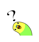 まるインコ（個別スタンプ：6）