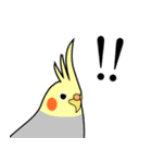 まるインコ（個別スタンプ：7）