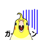 まるインコ（個別スタンプ：8）