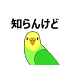 まるインコ（個別スタンプ：9）