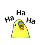 まるインコ（個別スタンプ：11）