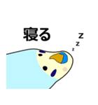 まるインコ（個別スタンプ：13）