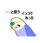 まるインコ（個別スタンプ：15）