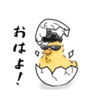 小林ヒヨコさん（個別スタンプ：5）