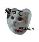 我が家のアイドルまなぽー♥（個別スタンプ：10）