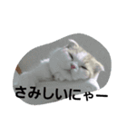 我が家のアイドルまなぽー♥（個別スタンプ：11）