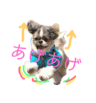 ぱふたんのおしゃべり（個別スタンプ：5）